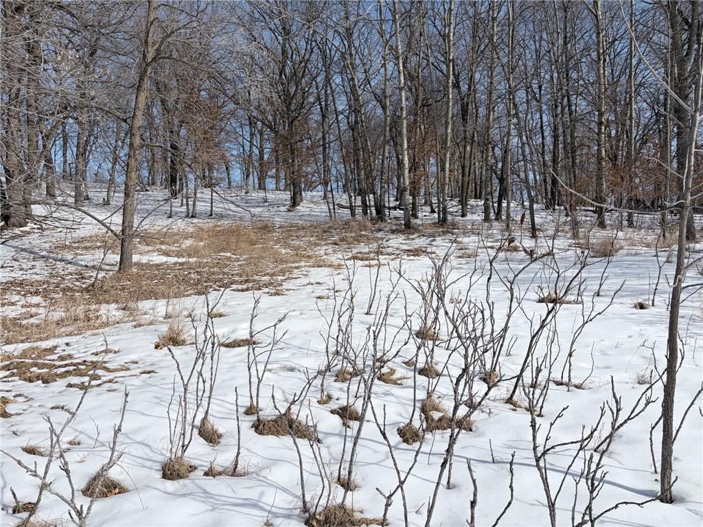 798 S Shore Drive Detroit Lakes MN 56501 - Detroit 7026541 image7