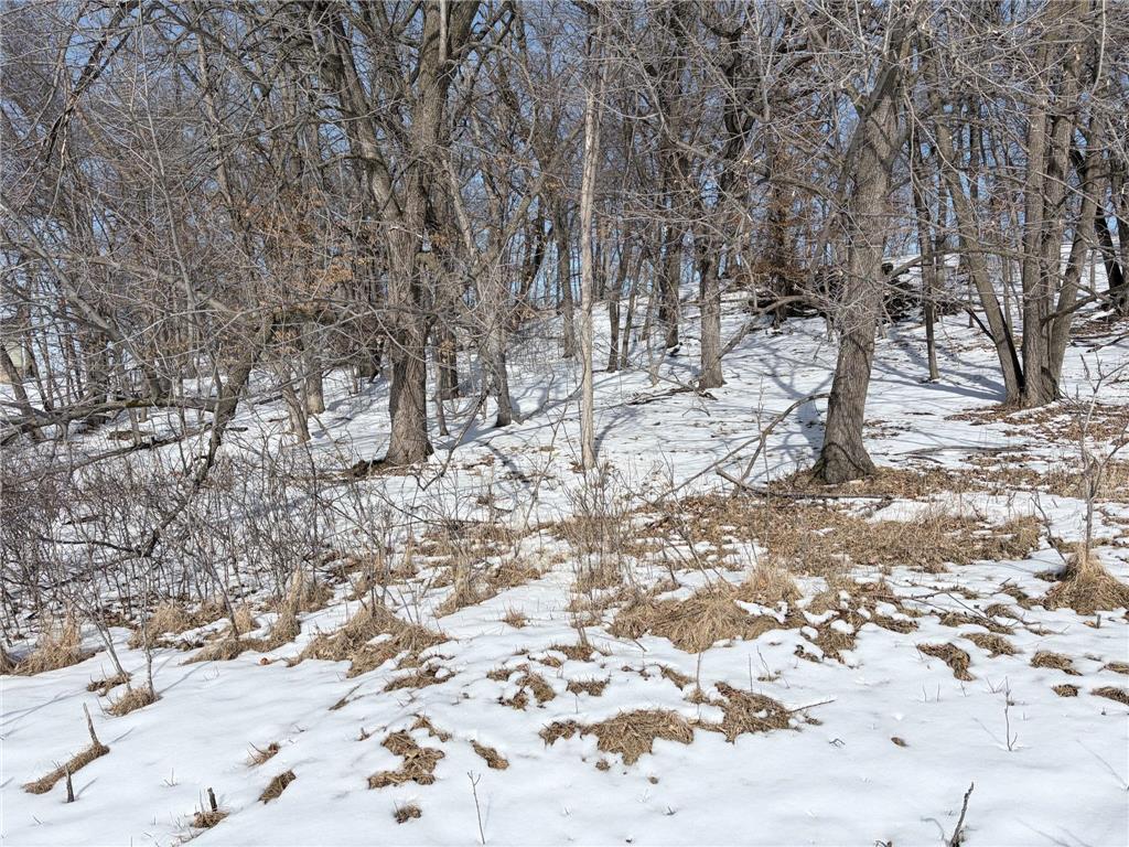 798 S Shore Drive Detroit Lakes MN 56501 - Detroit 7026541 image8