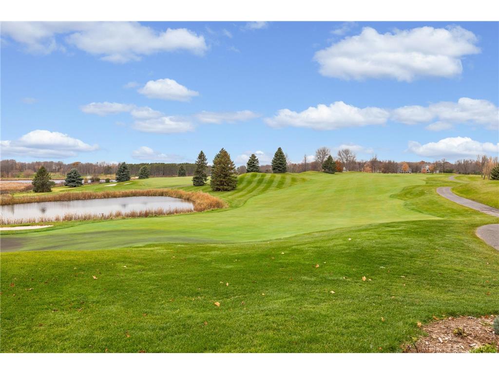 7980 Dunkirk Lane N Maple Grove MN 55311 7064897 image45
