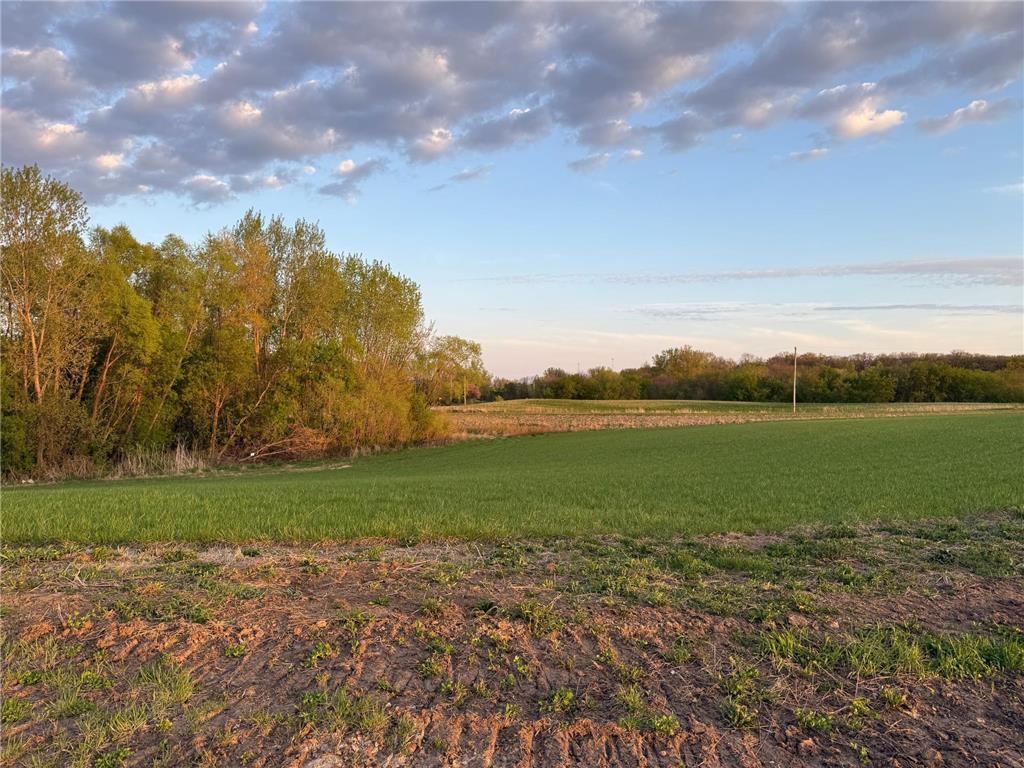 7981 207th Street E Prior Lake MN 55372 6722066 image3