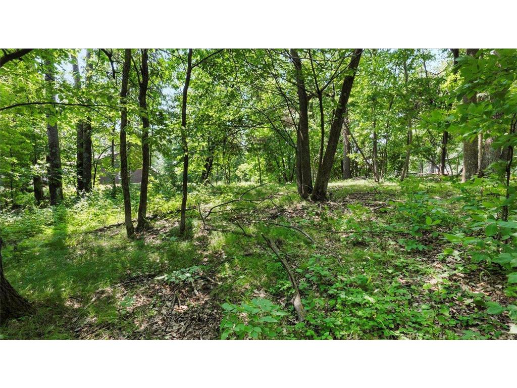 7984 Bass Lake Trail Nisswa MN 56468 - Roy Lake 7040744 image42