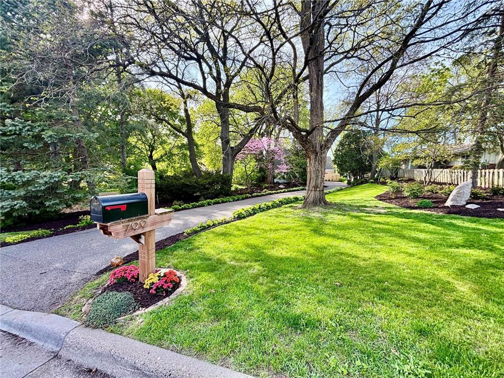 799 Heinel Drive Roseville MN 55113 - Owasso 7063161 image4