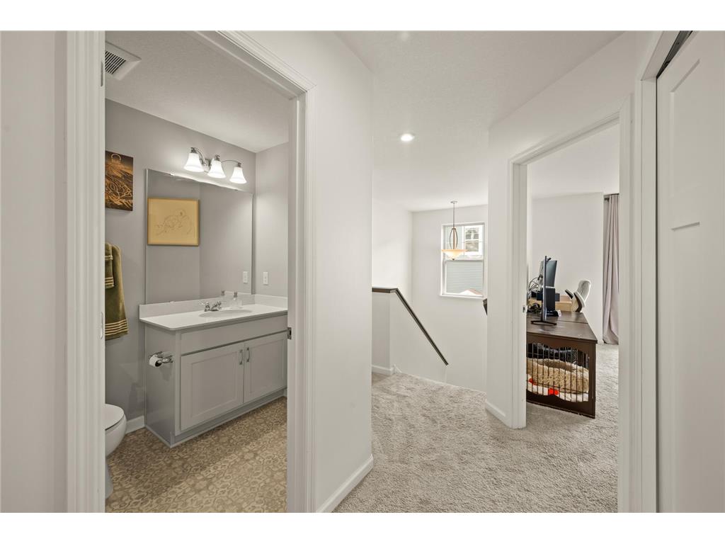 799 Roselyn Drive Victoria MN 55386 7038487 image16