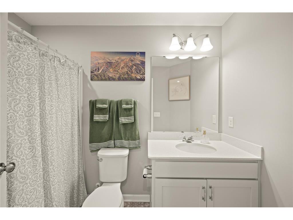 799 Roselyn Drive Victoria MN 55386 7038487 image27