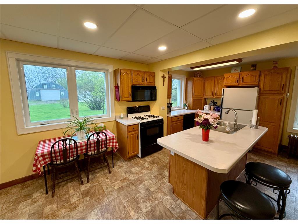 79955 360th Street Bird Island MN 56277 7040731 image3