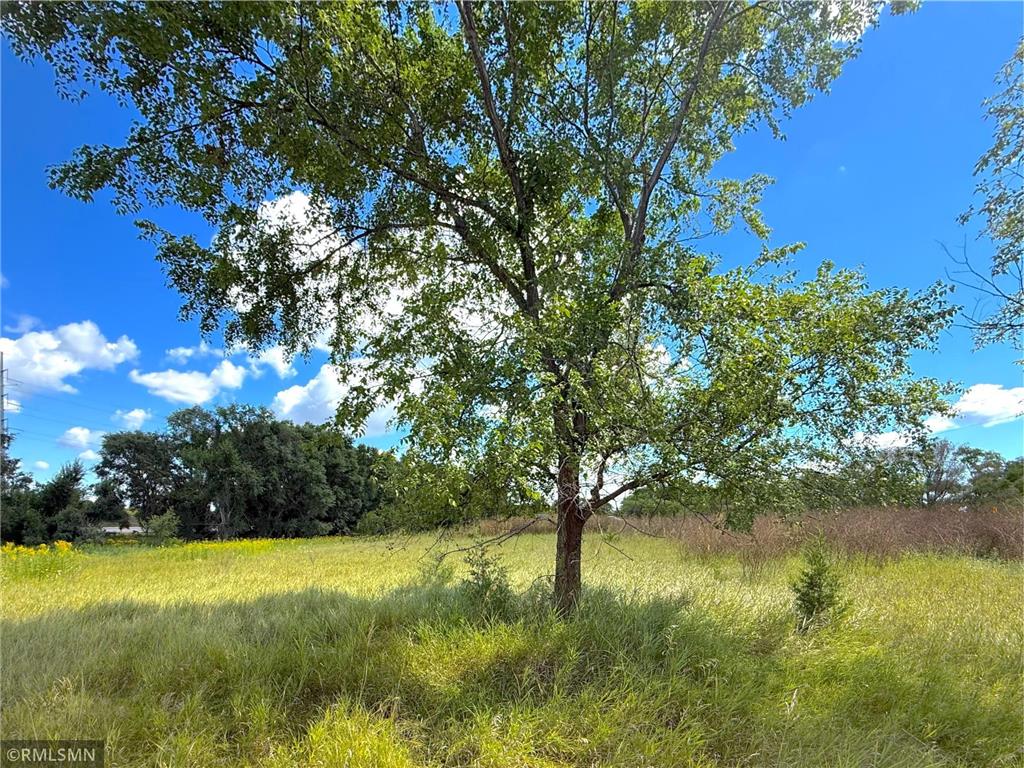 7XX County Road 143 Clearwater MN 55320 6779733 image2