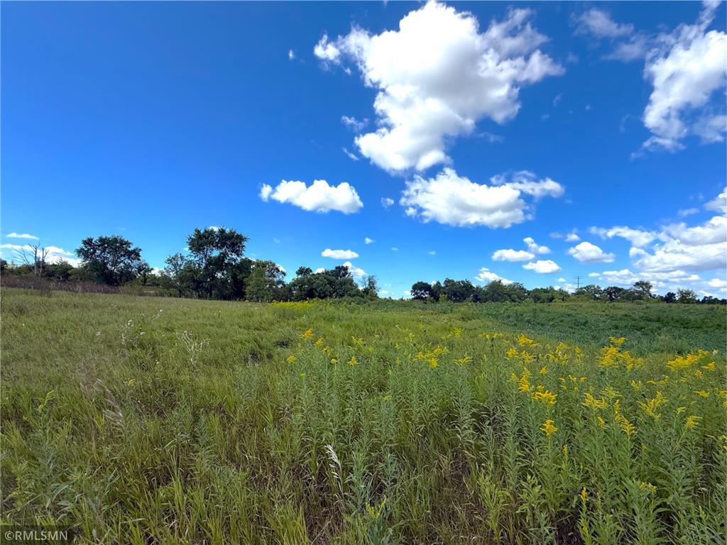 7XX County Road 143 Clearwater MN 55320 6779733 image8