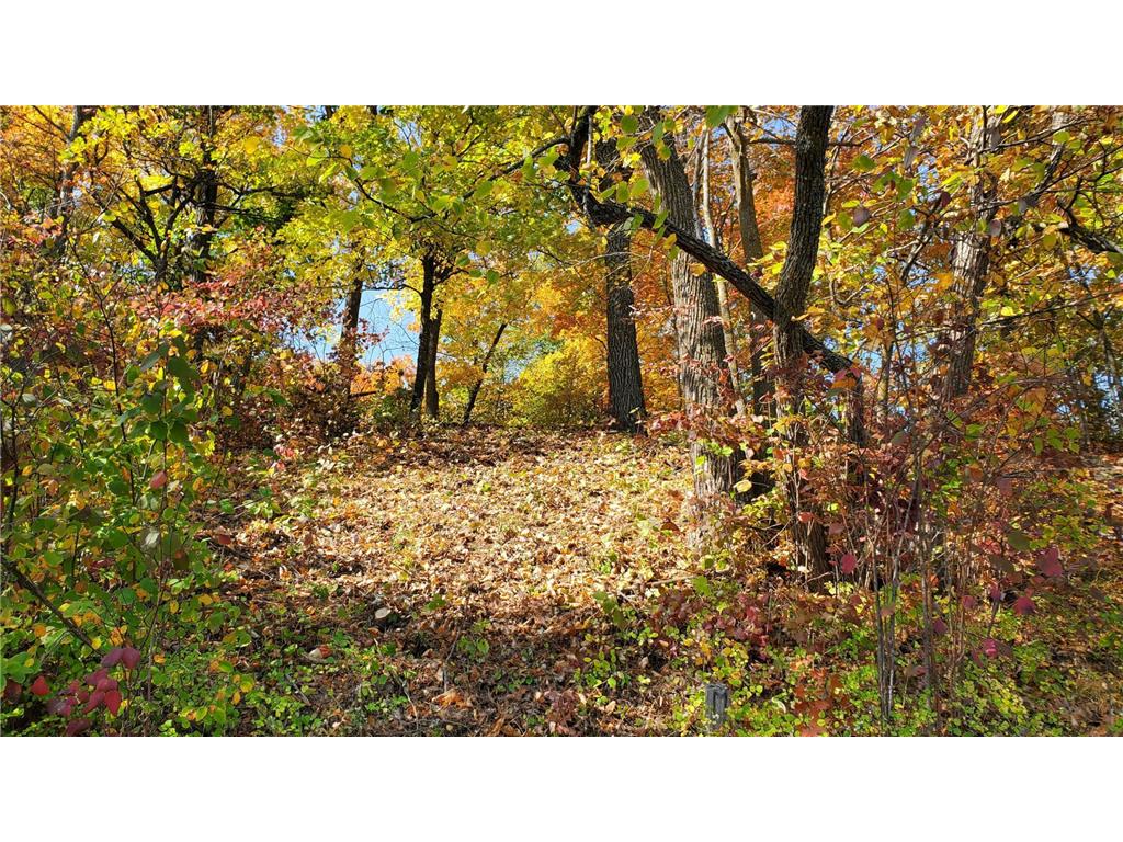 7xx 28th Street NW Hackensack MN 56452 - Blackwater 7054243 image11