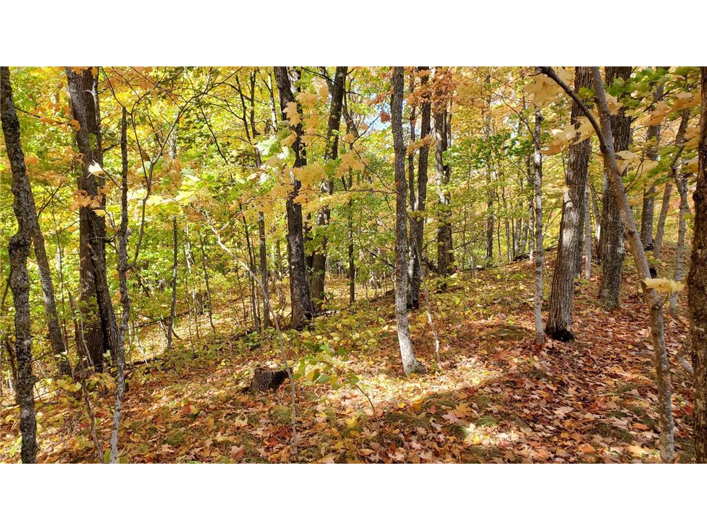 7xx 28th Street NW Hackensack MN 56452 - Blackwater 7054243 image6