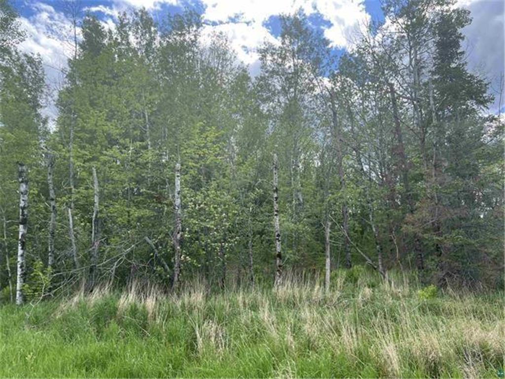 7xxx Kauppi Lake Road Cotton MN 55724 6784128 image11