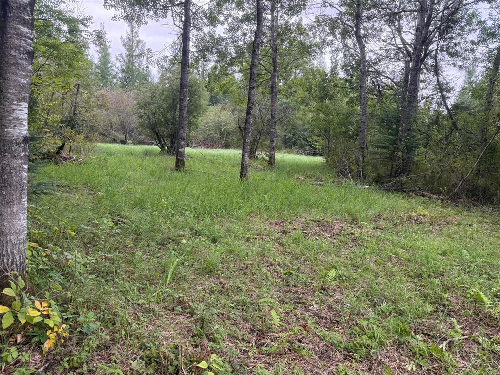 7xxx Kauppi Lake Road Cotton MN 55724 6784128 image12