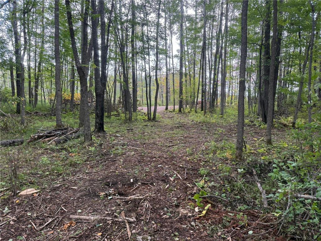 7xxx Kauppi Lake Road Cotton MN 55724 6784128 image14