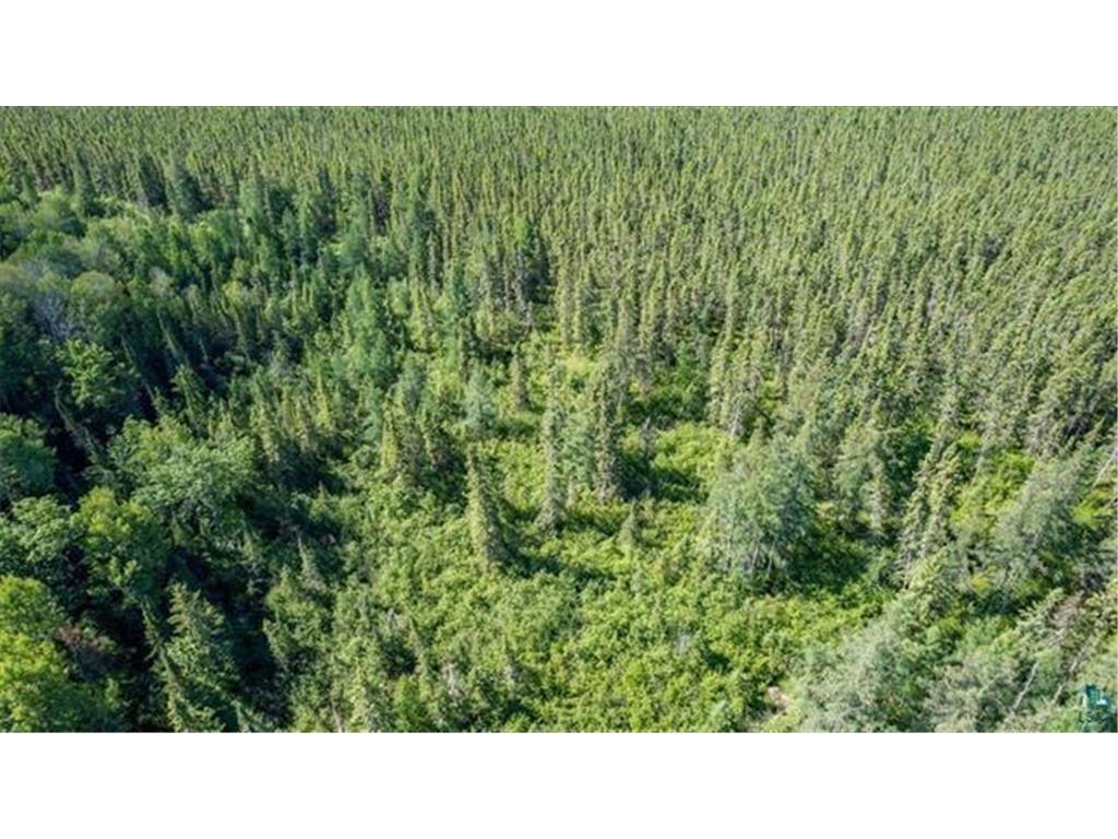 7xxx Kauppi Lake Road Cotton MN 55724 6784128 image25