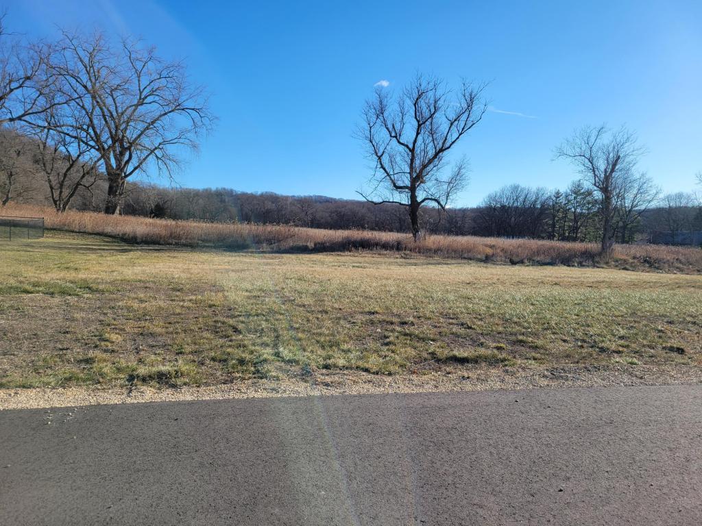 8 Lots - 1 Price Briella Avenue Rushford Village MN 55971 6642484 image5