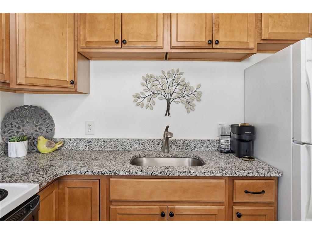 8 Pointcross Drive Circle Pines MN 55014 7012682 image13