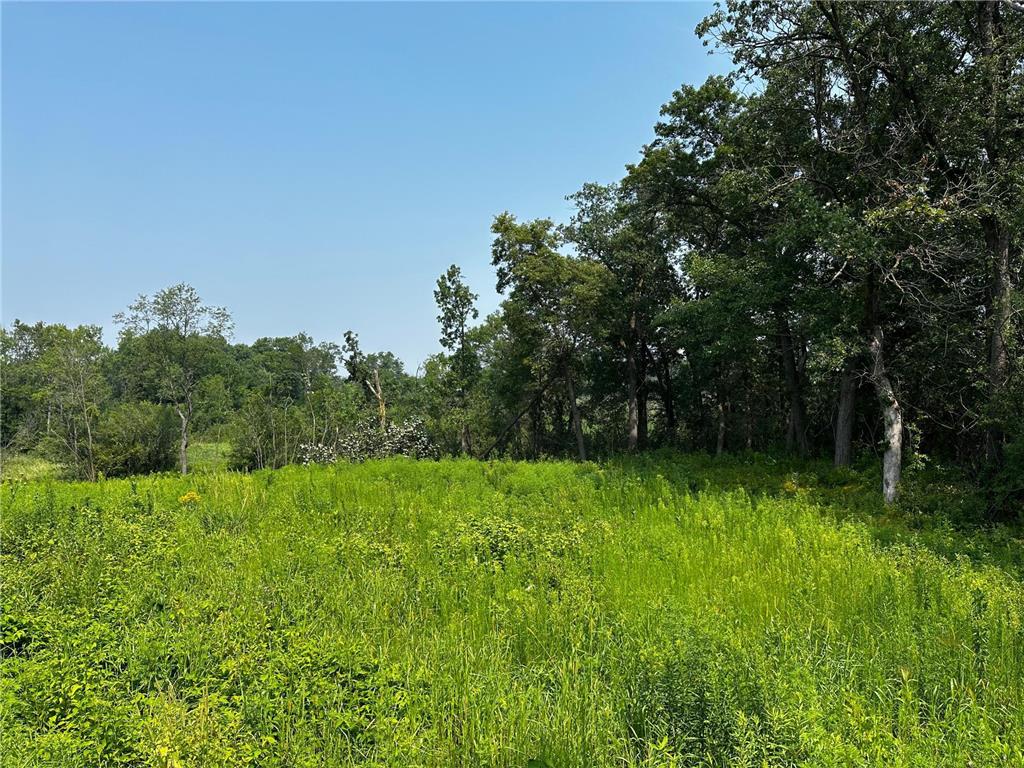 8 Pondview Trail North Oaks MN 55127 6791405 image3