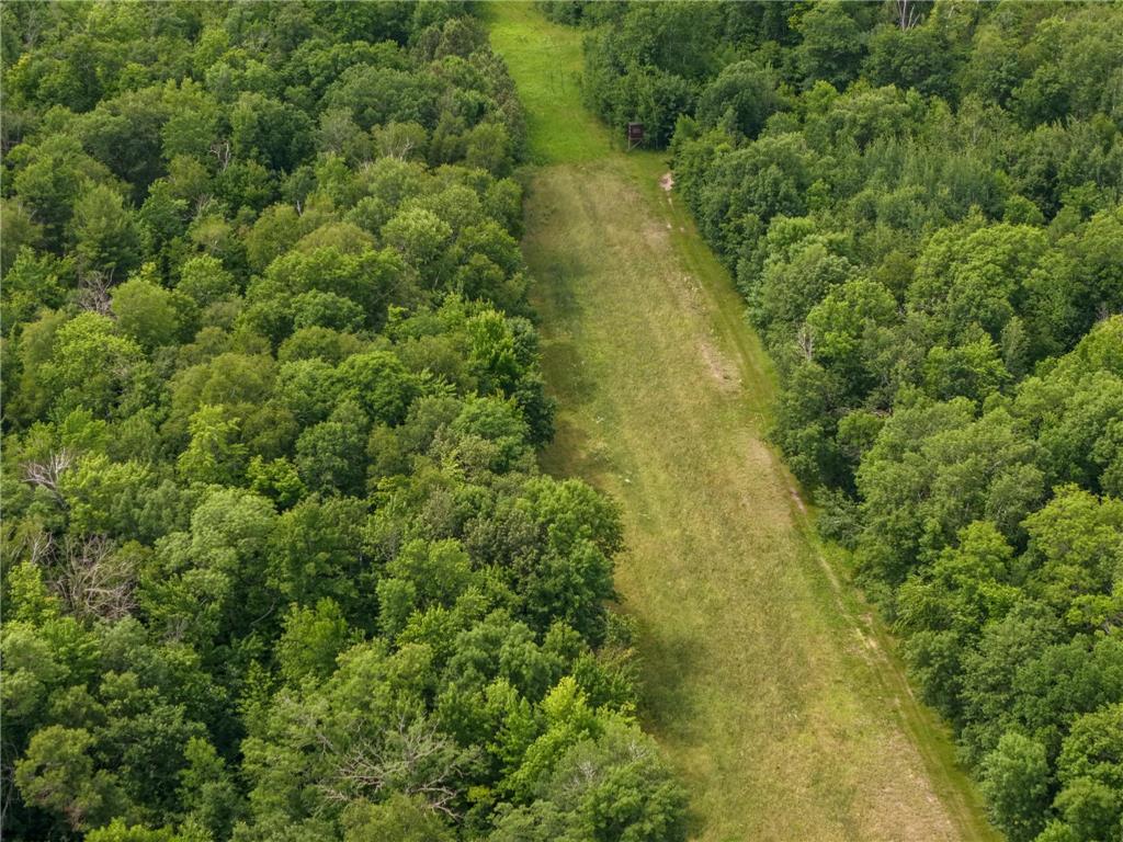 80 Acres Pike Bay Loop Road NW Pike Bay Twp MN 56633 7111015 image10