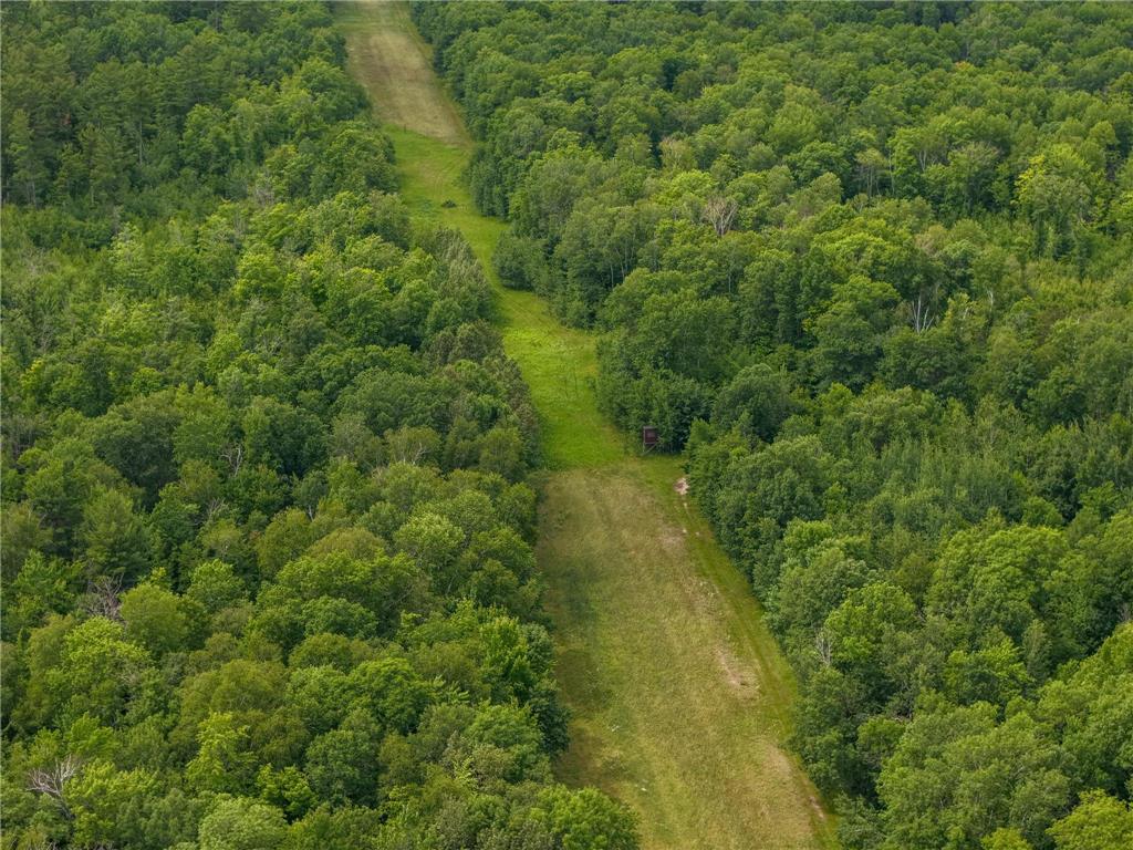 80 Acres Pike Bay Loop Road NW Pike Bay Twp MN 56633 7111015 image11