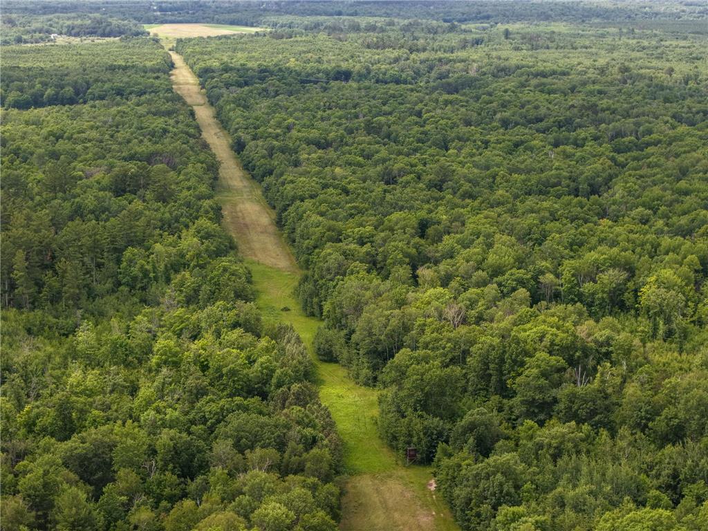 80 Acres Pike Bay Loop Road NW Pike Bay Twp MN 56633 7111015 image12
