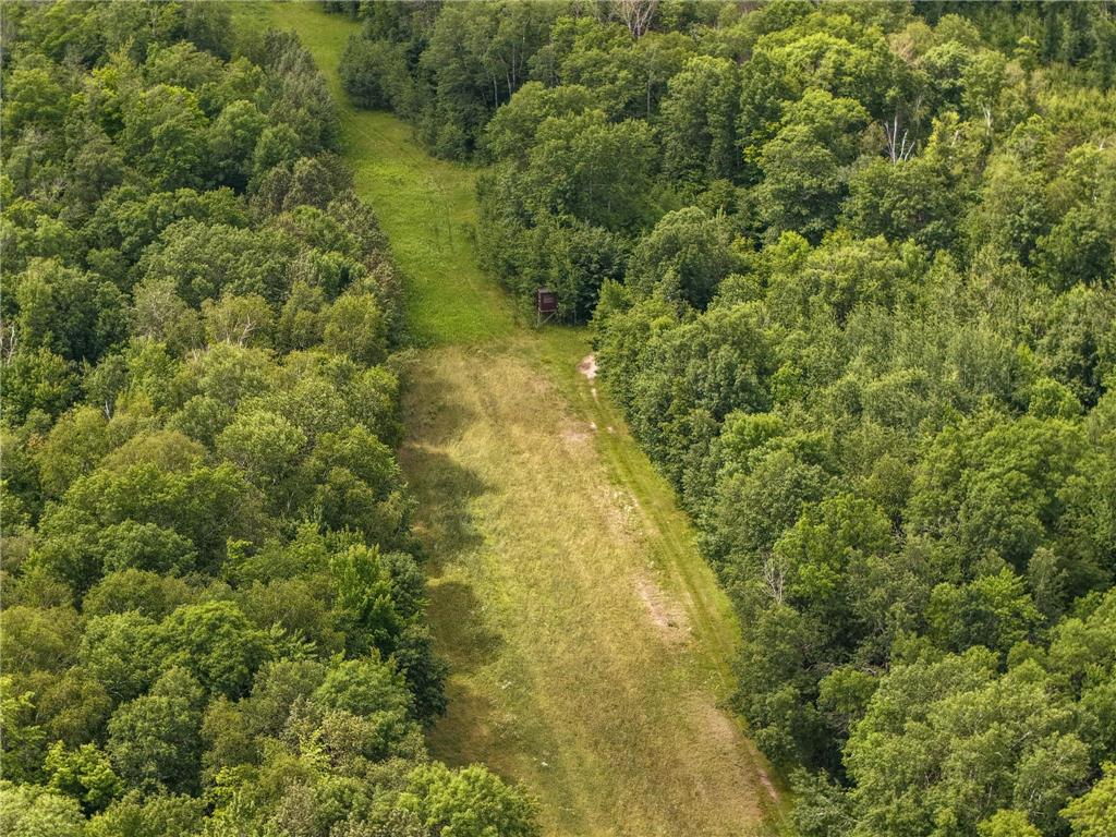 80 Acres Pike Bay Loop Road NW Pike Bay Twp MN 56633 7111015 image13