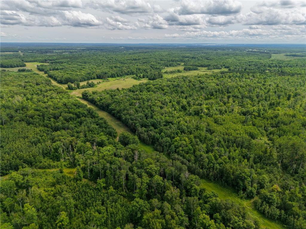 80 Acres Pike Bay Loop Road NW Pike Bay Twp MN 56633 7111015 image15