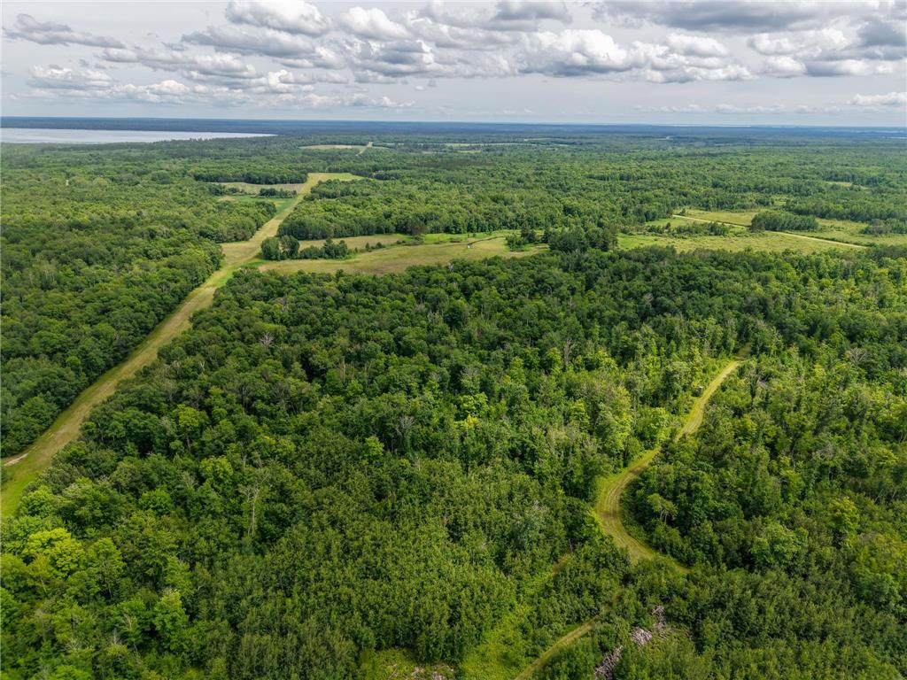 80 Acres Pike Bay Loop Road NW Pike Bay Twp MN 56633 7111015 image17