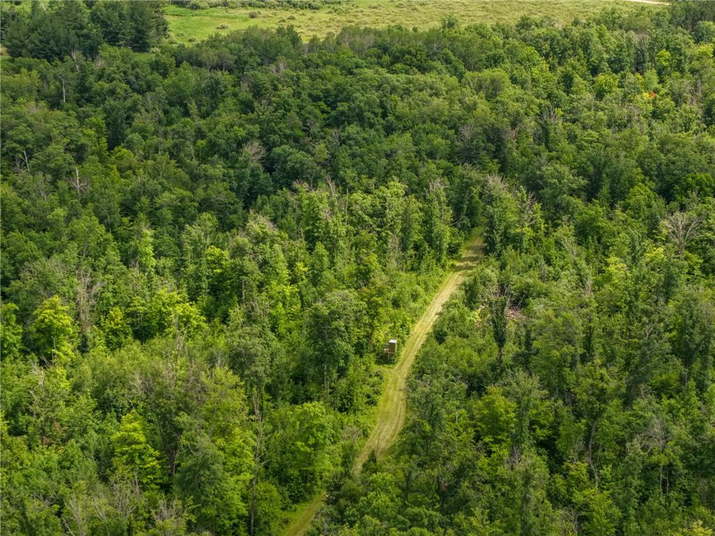 80 Acres Pike Bay Loop Road NW Pike Bay Twp MN 56633 7111015 image18