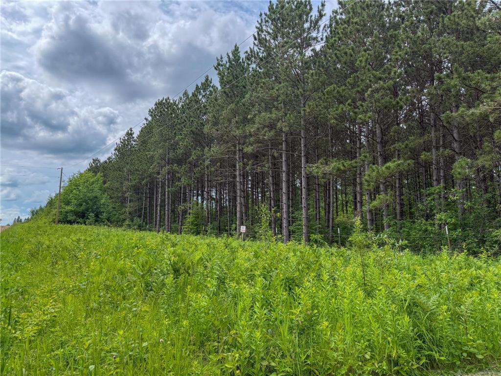 80 Acres Pike Bay Loop Road NW Pike Bay Twp MN 56633 7111015 image22