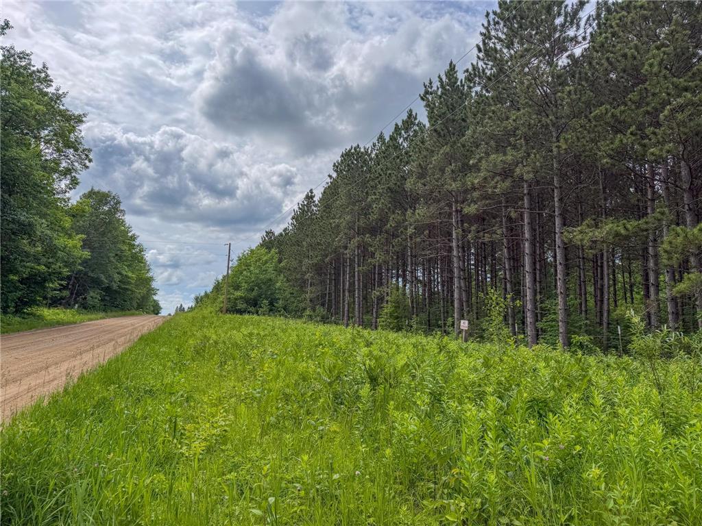 80 Acres Pike Bay Loop Road NW Pike Bay Twp MN 56633 7111015 image23