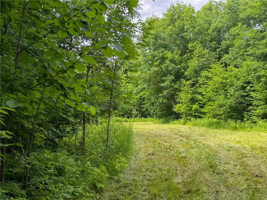 80 Acres Pike Bay Loop Road NW Pike Bay Twp MN 56633 7111015 image24