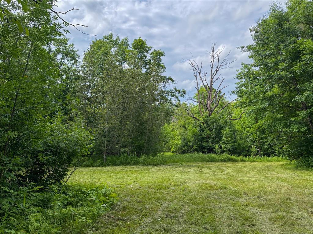 80 Acres Pike Bay Loop Road NW Pike Bay Twp MN 56633 7111015 image25