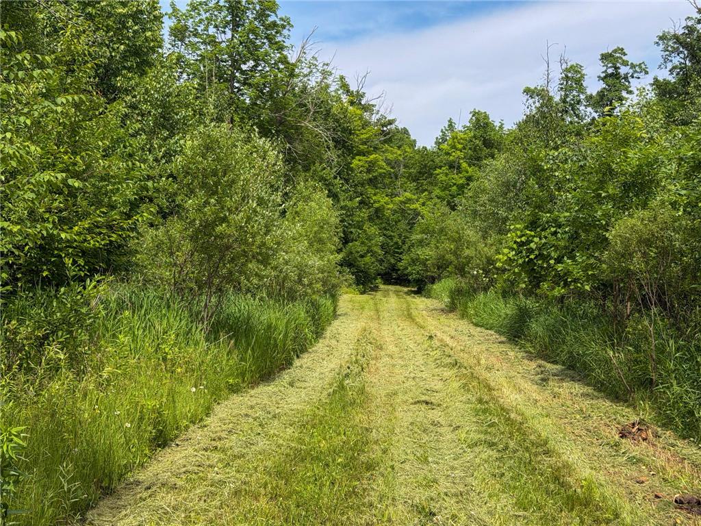80 Acres Pike Bay Loop Road NW Pike Bay Twp MN 56633 7111015 image26