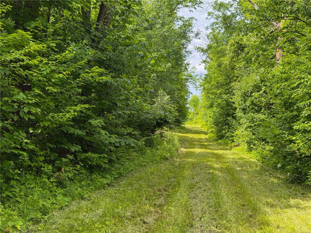 80 Acres Pike Bay Loop Road NW Pike Bay Twp MN 56633 7111015 image27
