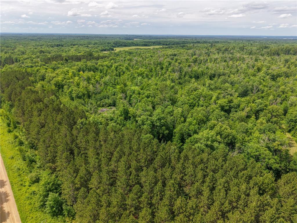80 Acres Pike Bay Loop Road NW Pike Bay Twp MN 56633 7111015 image3