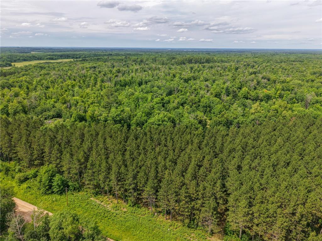 80 Acres Pike Bay Loop Road NW Pike Bay Twp MN 56633 7111015 image4