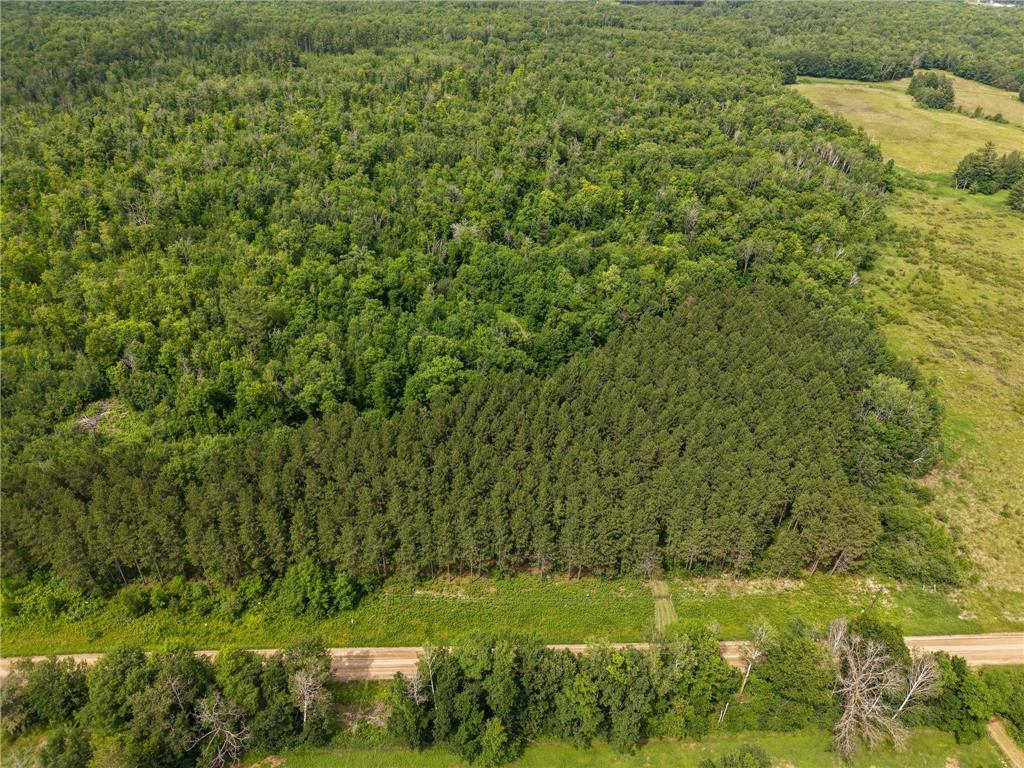 80 Acres Pike Bay Loop Road NW Pike Bay Twp MN 56633 7111015 image5