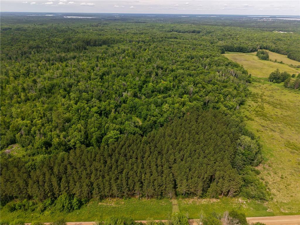 80 Acres Pike Bay Loop Road NW Pike Bay Twp MN 56633 7111015 image7