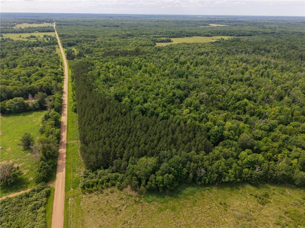 80 Acres Pike Bay Loop Road NW Pike Bay Twp MN 56633 7111015 image8