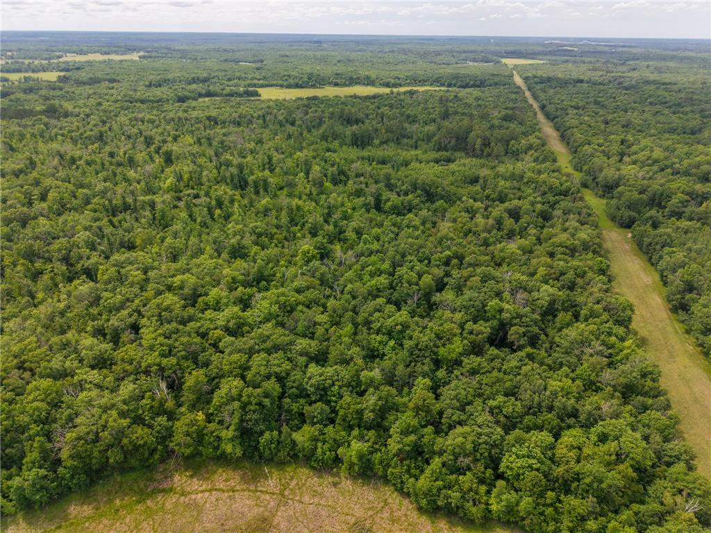 80 Acres Pike Bay Loop Road NW Pike Bay Twp MN 56633 7111015 image9