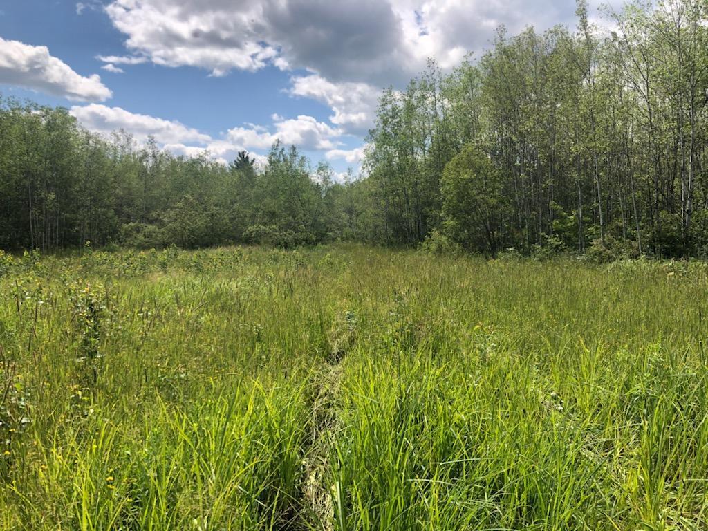 80 acres Elm Hoist Road Sanborn WI 54806 6410538 image1