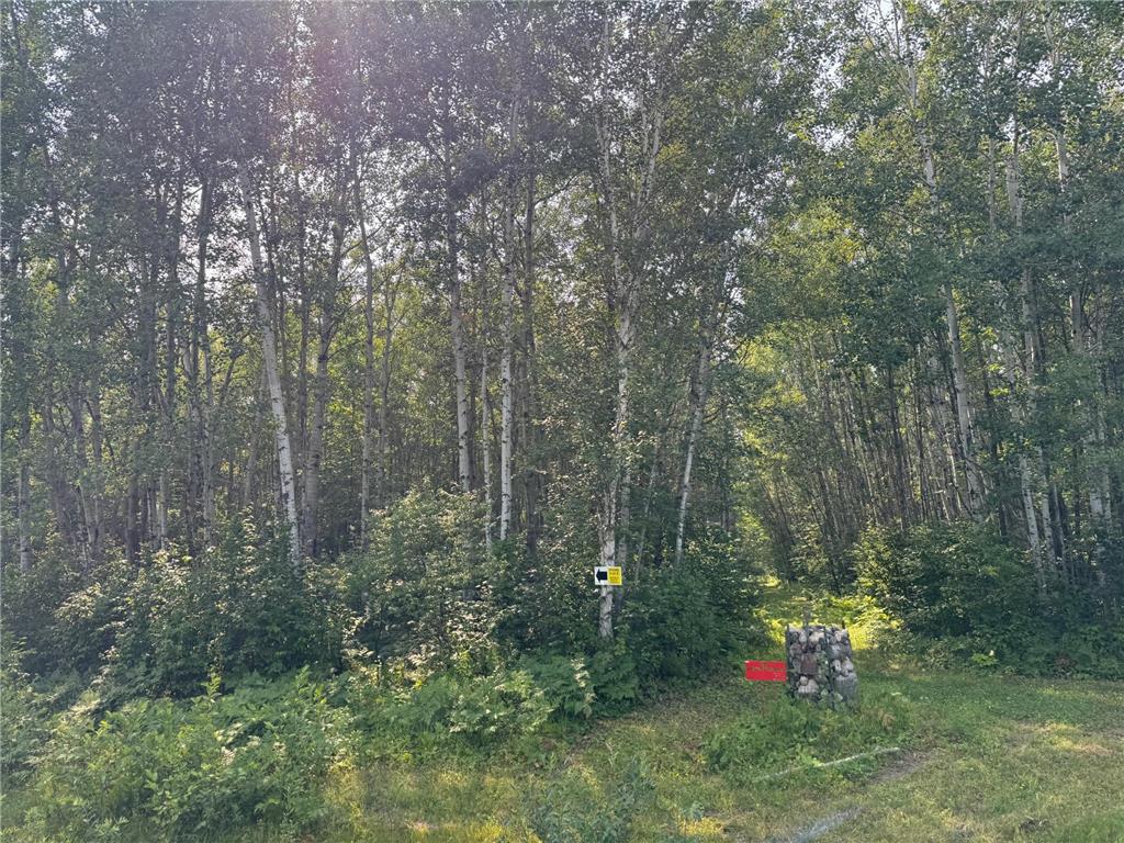 80+ acres Willow Creek Road NE Kelliher MN 56650 6766947 image10