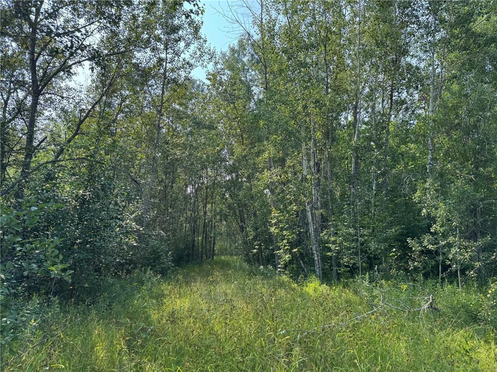 80+ acres Willow Creek Road NE Kelliher MN 56650 6766947 image2