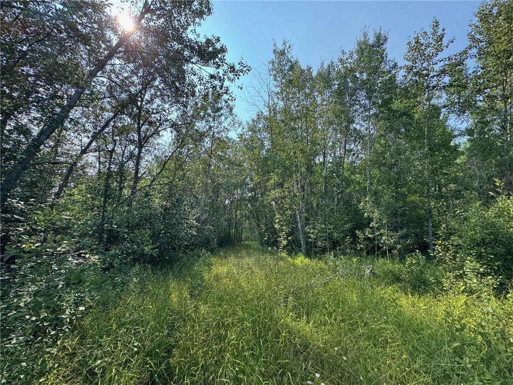 80+ acres Willow Creek Road NE Kelliher MN 56650 6766947 image3