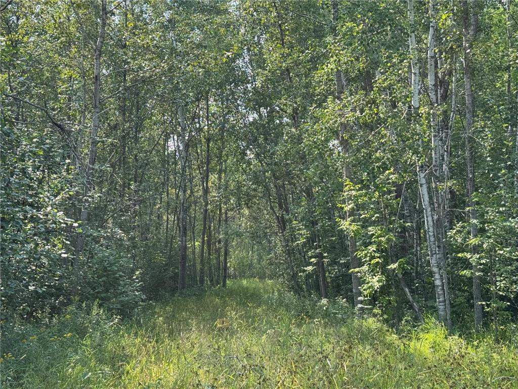 80+ acres Willow Creek Road NE Kelliher MN 56650 6766947 image4