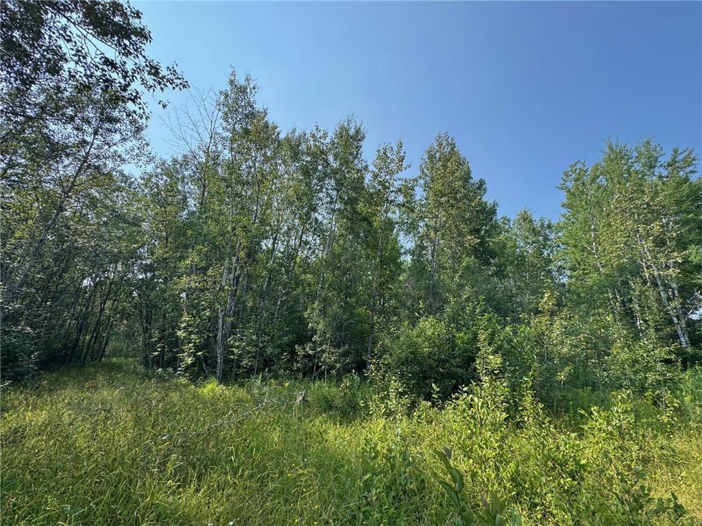 80+ acres Willow Creek Road NE Kelliher MN 56650 6766947 image5