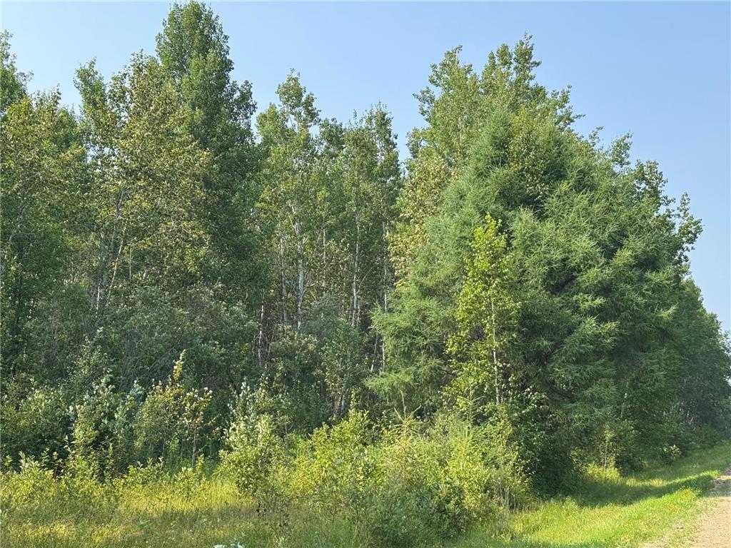 80+ acres Willow Creek Road NE Kelliher MN 56650 6766947 image6