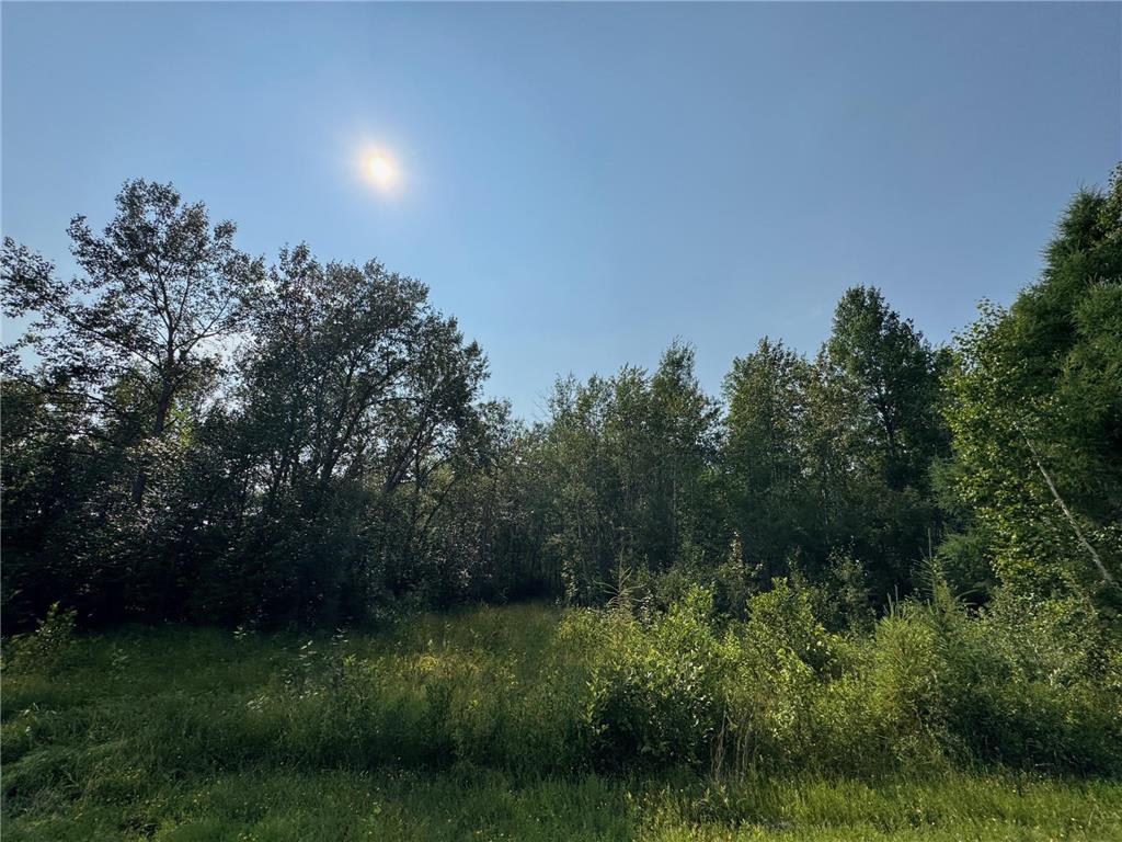 80+ acres Willow Creek Road NE Kelliher MN 56650 6766947 image7