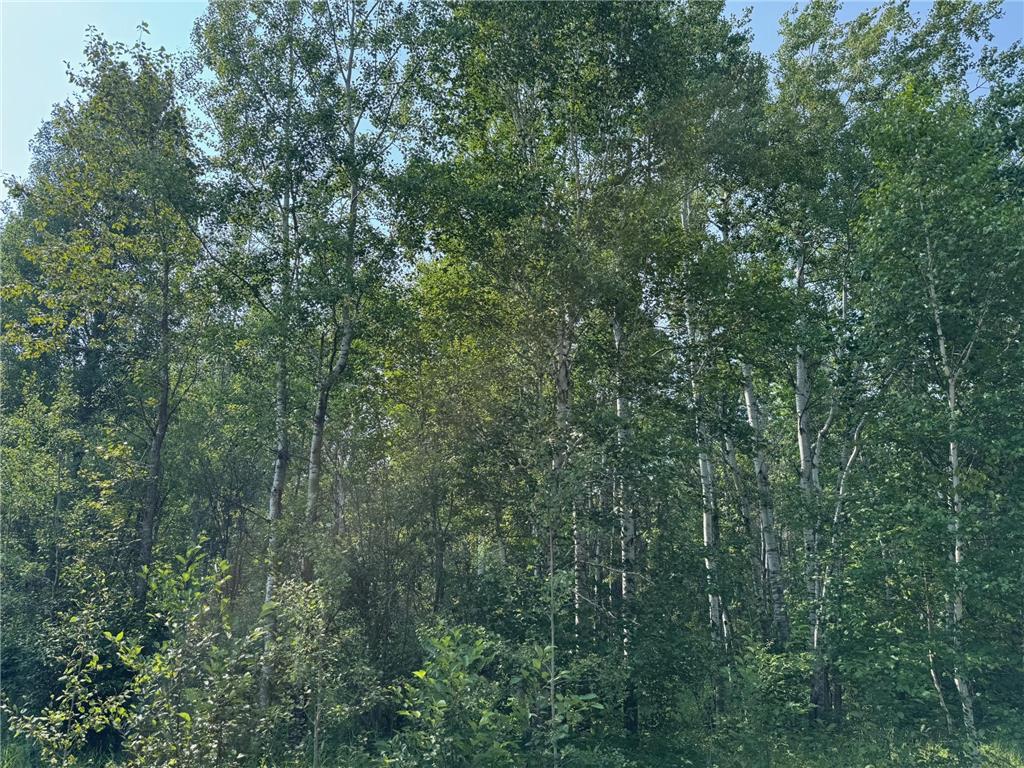 80+ acres Willow Creek Road NE Kelliher MN 56650 6766947 image8