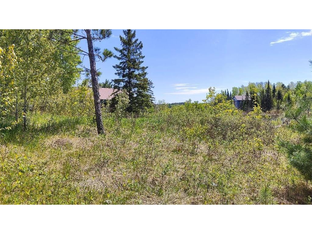 80046 Alder Lane Greenwood Twp MN 55790 - Vermilion 6660069 image10