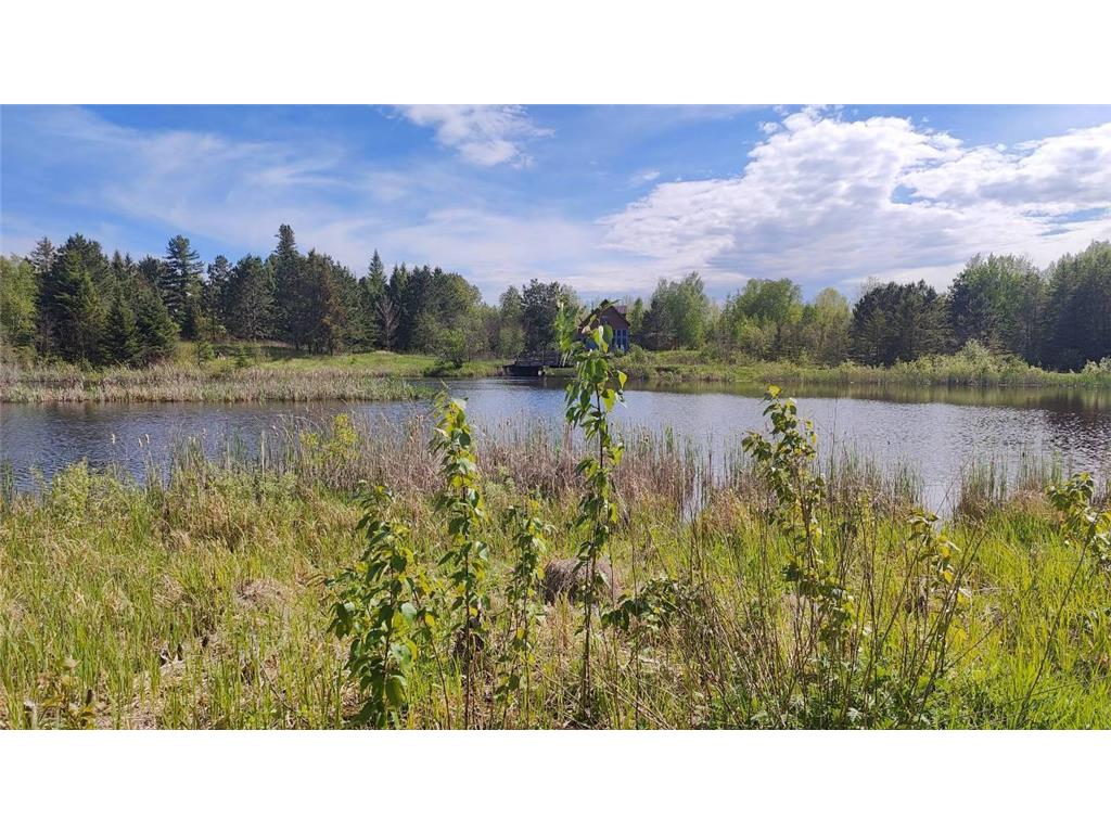 80048 Tamarack Trail Tower MN 55790 - Vermilion 6708806 image8